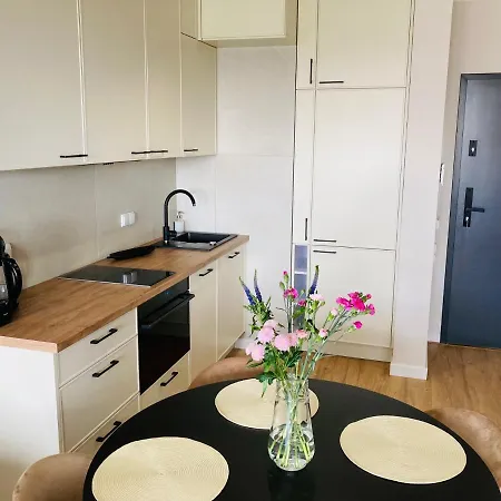 S&s Chlebova Z Widokiem Na Rzeke Motlawe, Stare Apartment Danzig