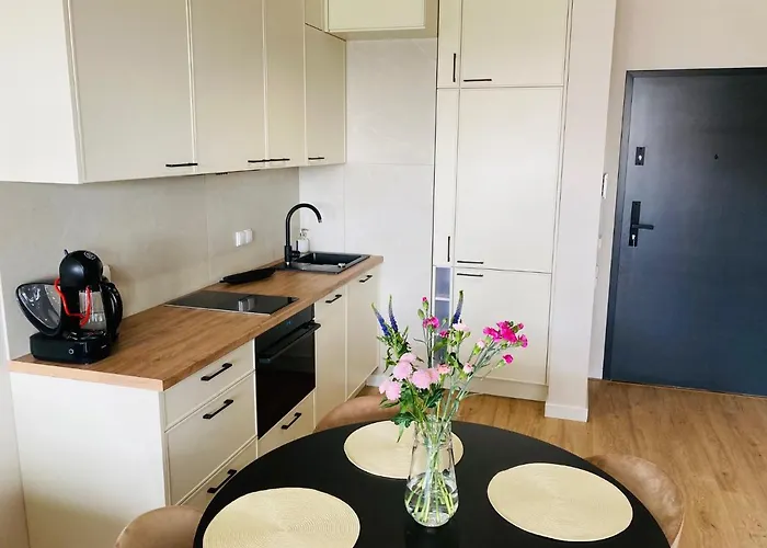 S&s Chlebova Z Widokiem Na Rzeke Motlawe, Stare Apartmán Gdaňsk